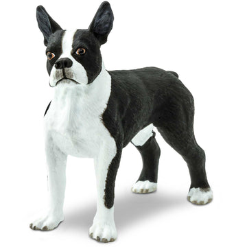Safari Ltd. Boston Terrier Figurine - Lifelike 2.5" Model Figure - Educational Toy for Boys, Girls, and Kids Ages 3+