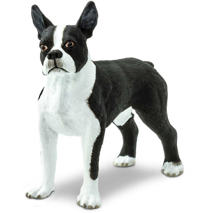 Safari Ltd. Boston Terrier Figurine - Lifelike 2.5" Model Figure - Educational Toy for Boys, Girls, and Kids Ages 3+