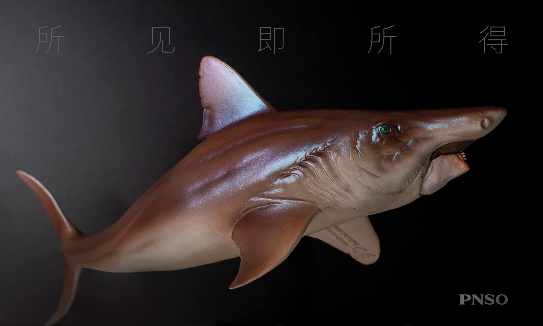 Lana Toys PNSO Helicoprion Haylee Figure Realistic Edestidae Shark PVC Collector Toys Animal Art Model Decoration Gift for Adult