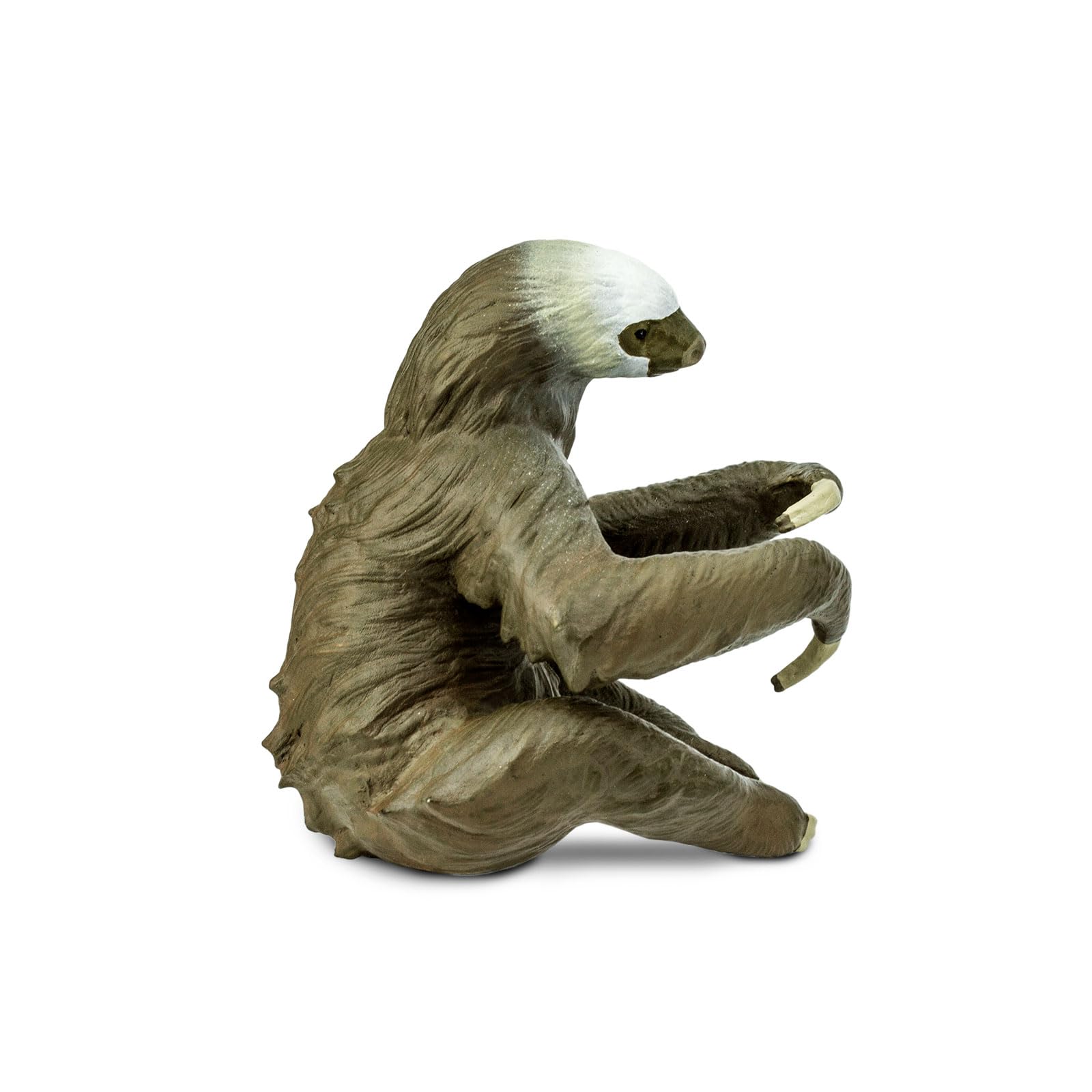 Safari Ltd. Two-Toed Sloth Figurine - Detailed 2.25" Plastic Figure - Educational Toy for Boys, Girls, and Kids Ages 3+