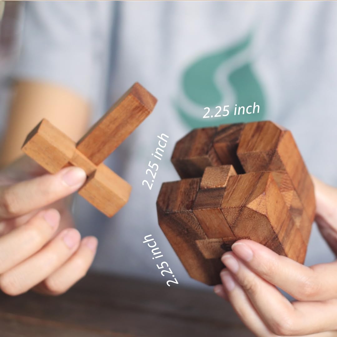 Hidden Passage: Wooden 3D Mechanical Puzzle for Adults - Brain Teaser Game | Desk Toy | Handmade Interlocking Wood Puzzle | Mind Teaser Logic