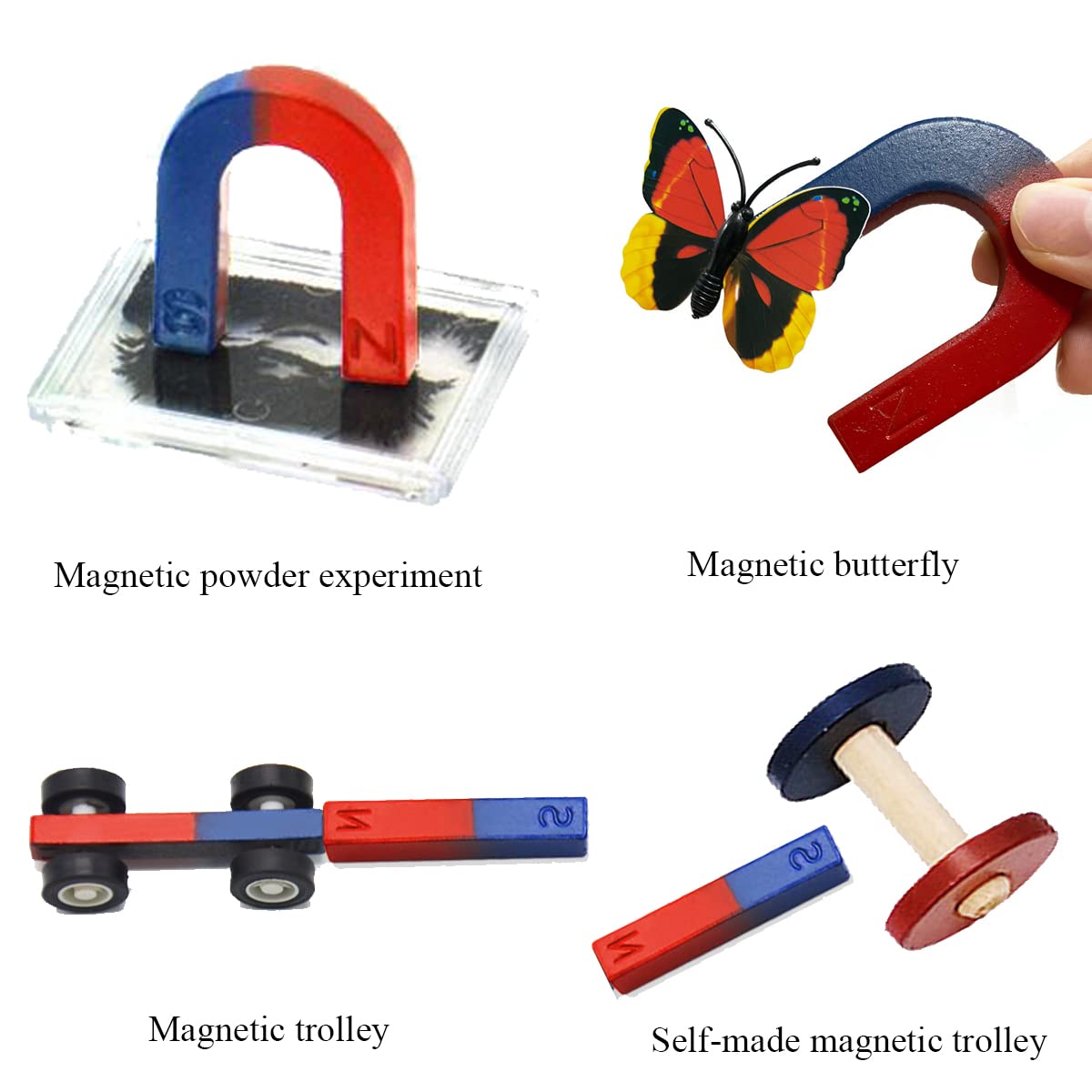 Labs Junior Science Magnetism Set for Experiment Education, Science Magnet Experiments for Kids Teen Including Bar/Horseshoe/Ring Magnets/Compass
