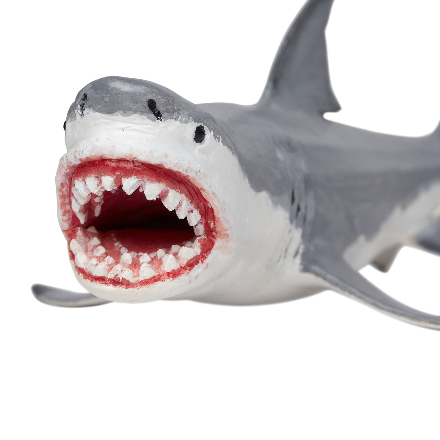 Safari Ltd. Megalodon Figurine - Detailed 7.25" Shark Figure - Educational Toy for Boys, Girls, and Kids Age 3+