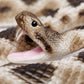 Safari Ltd. Eastern Diamondback Rattlesnake Figurine - Realistic 40" Model Figure - Educational Toy for Boys, Girls, and Kids Ages 18M+