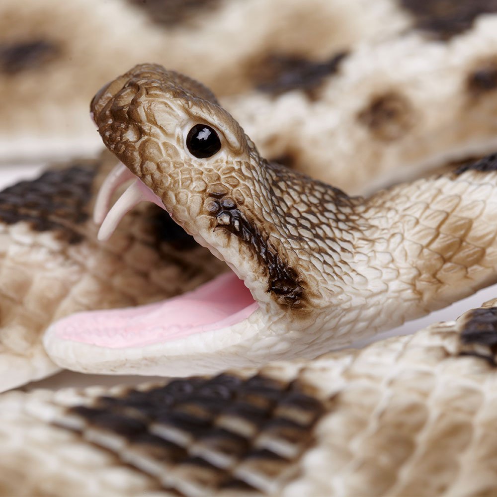 Safari Ltd. Eastern Diamondback Rattlesnake Figurine - Realistic 40" Model Figure - Educational Toy for Boys, Girls, and Kids Ages 18M+