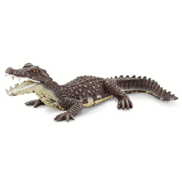 Safari Ltd. Caiman Figurine - Realistic 5" Reptile Figure - Educational Toy for Boys, Girls, and Kids Ages 3+