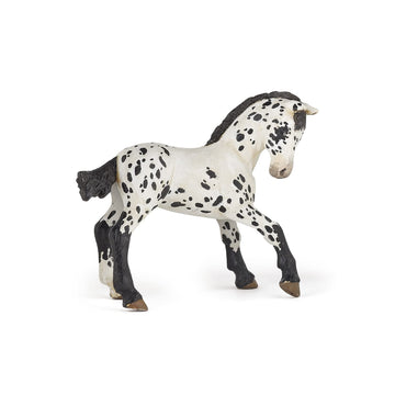 Papo - Realistic Black Appaloosa Foal Figure - Ages 3+ - Horses and Ponies Collection - Creative Play Equestrian World - Gift Idea Toy for Girls
