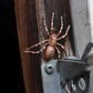 Safari Ltd. Safariology Life Cycle Series Life Cycle of a Spider Toy Figure for Boys and Girls - Ages 3+