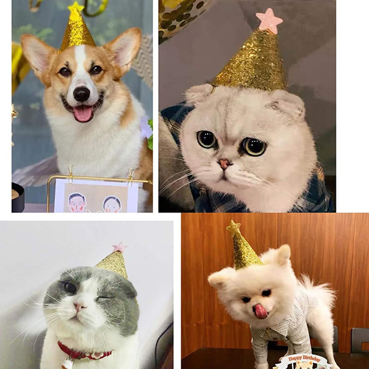 Fevoila Golden Star Birthday Hats, 12 Pcs Golden Happy Birthday Party Hats with Shiny Star Party Supplies for Pets Kids Adults