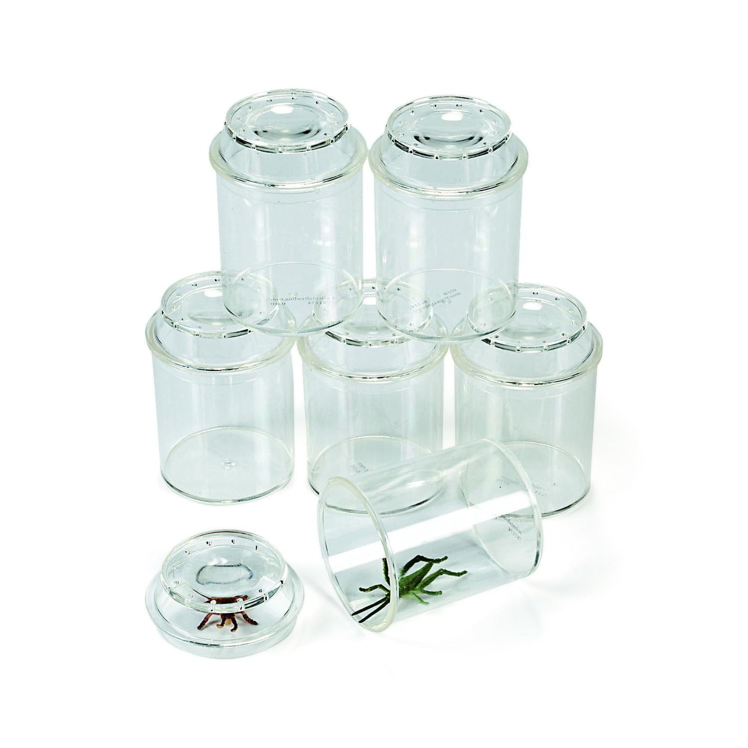 Clear Plastic See-Through Bug Jars - 3" (Pack of 10) - Ideal for Kids' Science Projects & Educational Activities