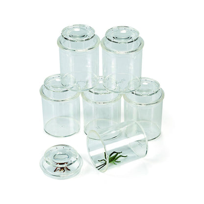 Clear Plastic See-Through Bug Jars - 3" (Pack of 10) - Ideal for Kids' Science Projects & Educational Activities