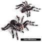 FLORMOON Realistic Animal Figures - Spider Action Model Lifelike Insect Toy Figures - Educational Learning Toys Birthday Set for Boys Girls Kids