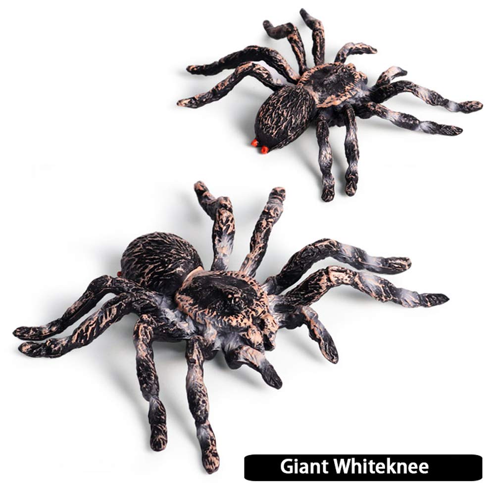 FLORMOON Realistic Animal Figures - Spider Action Model Lifelike Insect Toy Figures - Educational Learning Toys Birthday Set for Boys Girls Kids