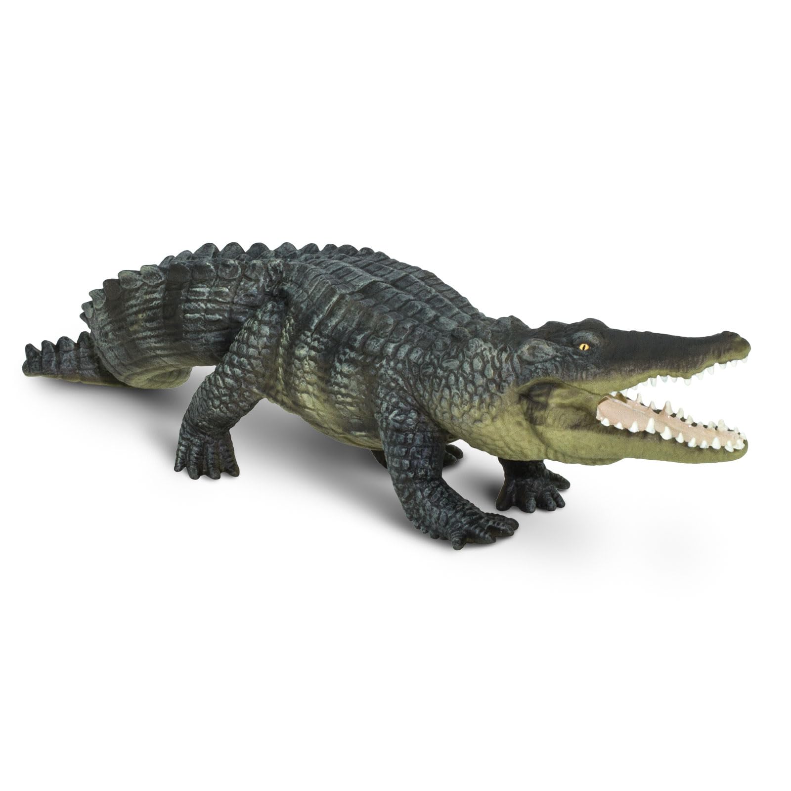 Safari Ltd. Saltwater Crocodile Figurine - Detailed 12" Plastic Model Figure - Fun Educational Play Toy for Boys, Girls & Kids Ages 18M+