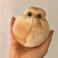 GIANTmicrobes Fat Cell Plush, Biology Gifts, Science Teacher Gifts, Nerdy Science Gifts, Biology Decor, Gifts for Nutritionist, Fitness Trainer Gifts