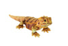 Wild Republic Living Earth Bearded Dragon Stuffed Animal - 24"