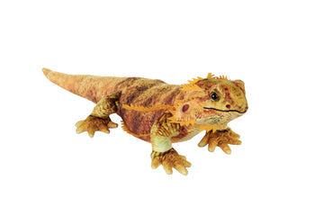 Wild Republic Living Earth Bearded Dragon Stuffed Animal - 24"