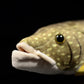 Realistic Northern Pike Fish Stuffed Plush Toy - Simulation 18.5” Lifelike Depth Ocean Animals Pike Plushie Toys Figur, Super Soft Sea Creatures Fish