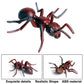 JOKFEICE Realistic Animal Figures Red Ant Figurines Insect Toy, Science Project, Cake Topper, Early Educational Toys Birthday for Toddlers Kids Age 3
