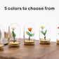 1/6 Dollhouse Miniature Rose with Glass Dome, Faux Flowers, Mini Rose Flowers, Miniature Valentine's Gift, for Dollhouse Miniatures Fairy Garden