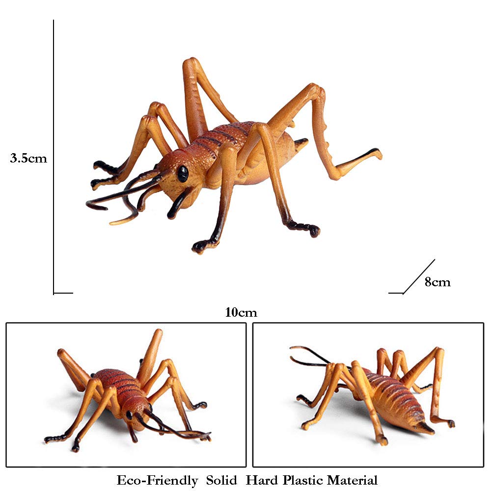 JOKFEICE Realistic Animal Figures Cricket Figurines Insect Toy, Science Project, Cake Topper, Early Educational Toys Birthday for Toddlers Kids Age 3