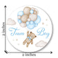 Boho Teddy Bear Balloons Team Girl, Team Boy Gender Reveal Stickers - 40 Labels (20 of Each Design)
