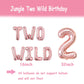Two Wild Birthday Decoration Set Jungle Balloons for Girls 2nd Birthday