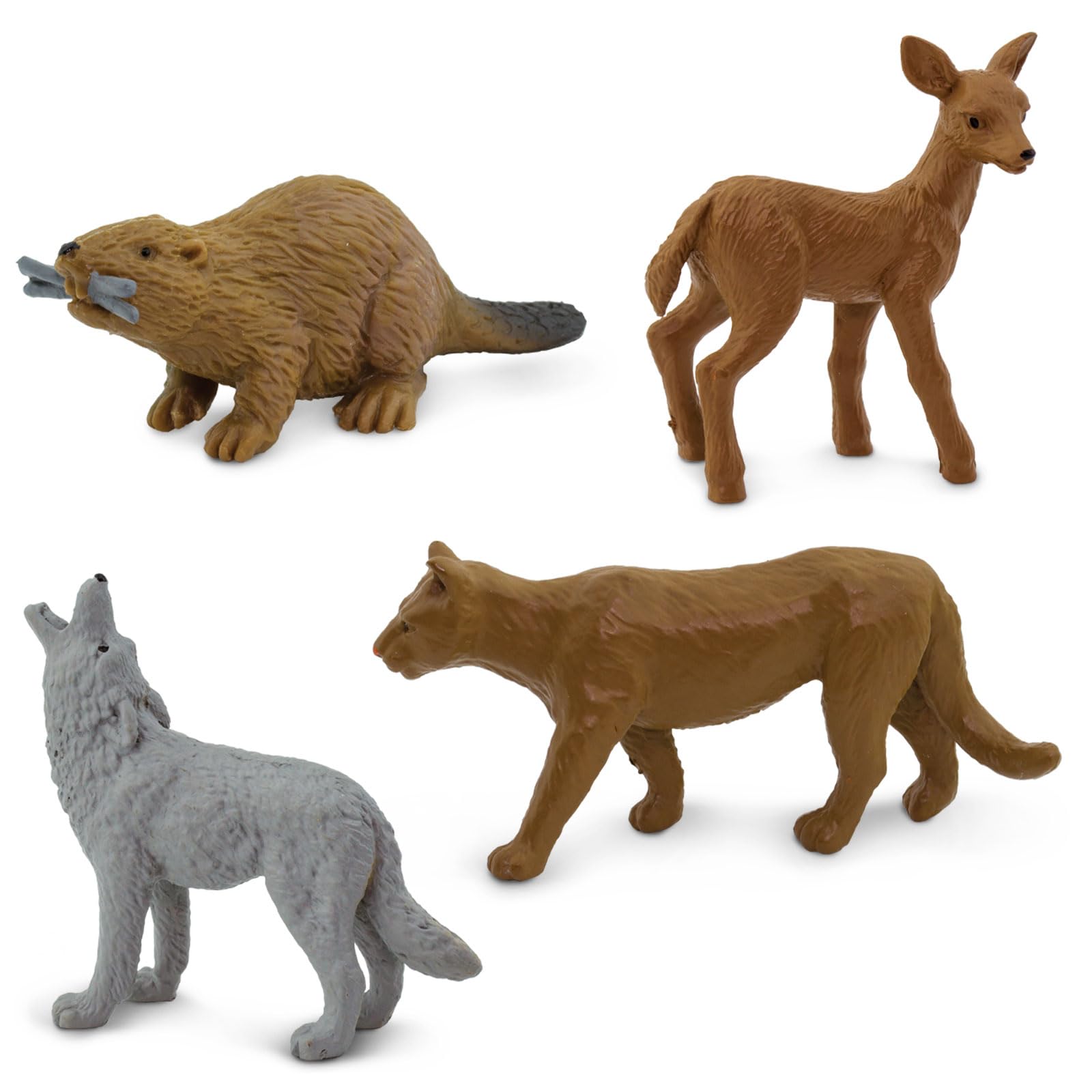 Safari Ltd Nature TOOB - 12 Mini Figurines with Rabbit, Beaver, Doe, Gray Wolf, Fox, Black Bear, Moose, Mountain Lion, Bald Eagle, and More
