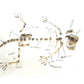 Copernicus Toys Real Owl Pellet kit Dissect Real owl pellets | Bone Chart Included