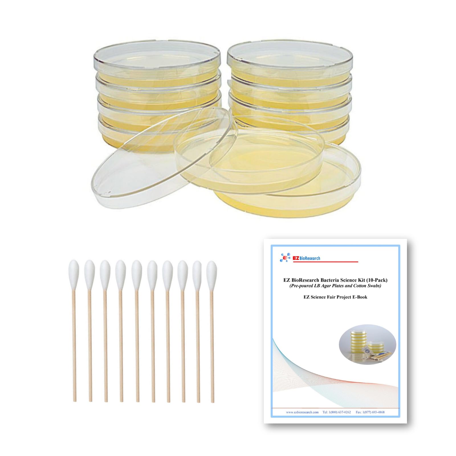 EZ BioResearch Bacteria Science Kit (IV): Top Science Fair Project Kit. Prepoured LB-Agar Plates And Cotton Swabs. Exclusive Free Science Fair Project