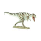 Safari Ltd. Giganotosaurus Figurine - Realistic 14.5" Dinosaur Figure - Educational Toy for Boys, Girls, and Kids Ages 3+