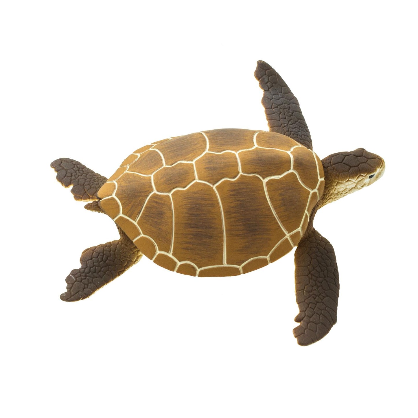 Safari Ltd. Green Sea Turtle Figurine - Detailed 4" Plastic Model Figure - Fun Educational Play Toy for Boys, Girls & Kids Ages 1+