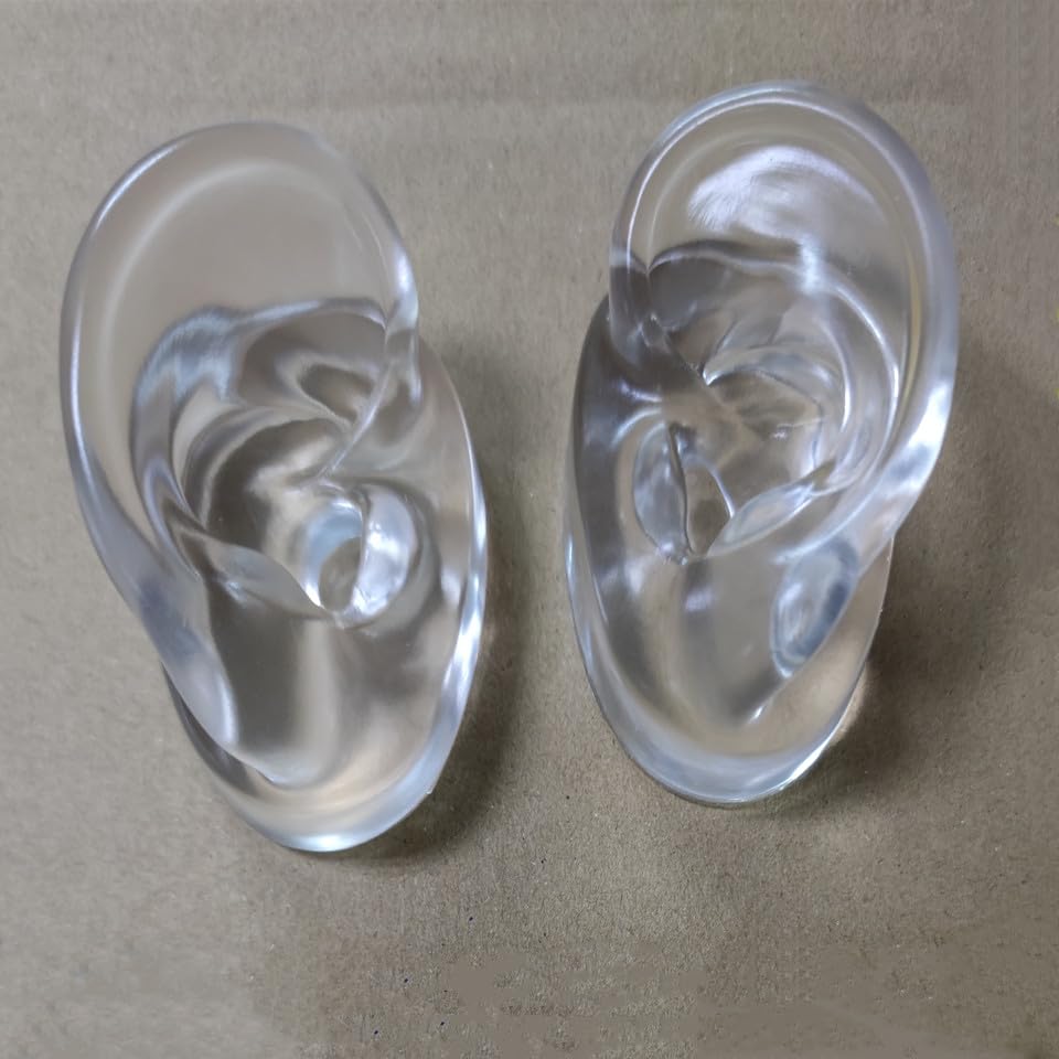 (One Pair) Soft Silicone Ear Model - Flexible Earmold Ear Displays for Acupuncture, Jewelry, Audio Music Recording, Education (Transparent)
