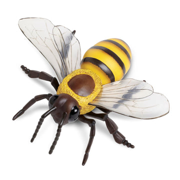 Safari Ltd. Honey Bee Figurine - Lifelike 5.5" Model Figure - Educational Toy for Boys, Girls, and Kids Ages 3Y+