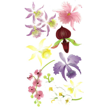 Jolee's Boutique (Jolly Boutique Colorful Orchids 50-50029