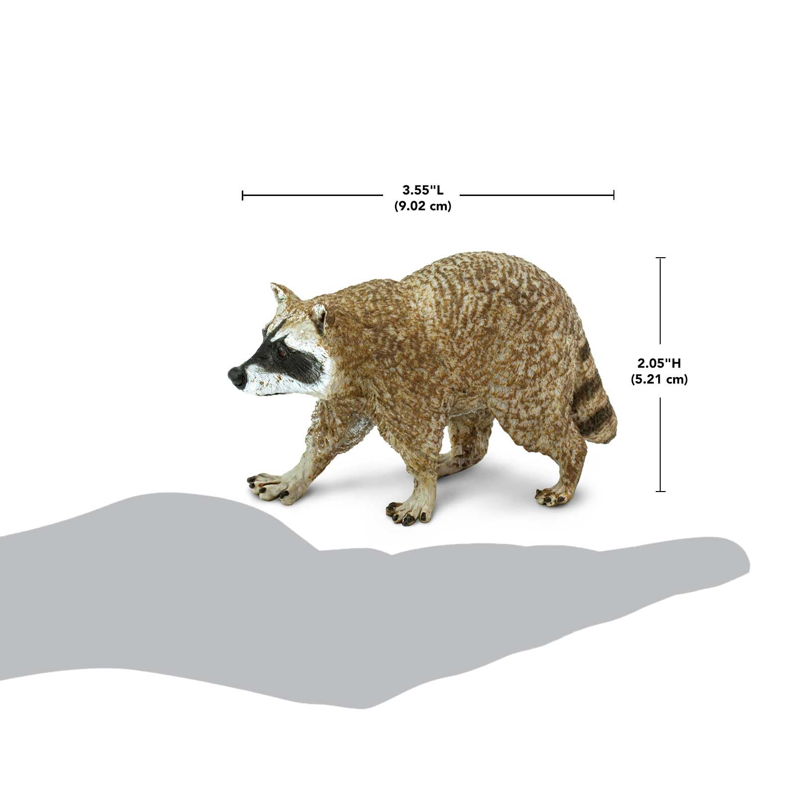 Safari Ltd. Raccoon Figurine - Detailed 3.5" Plastic Model Figure - Fun Play Toy for Boys, Girls & Kids Ages 1+