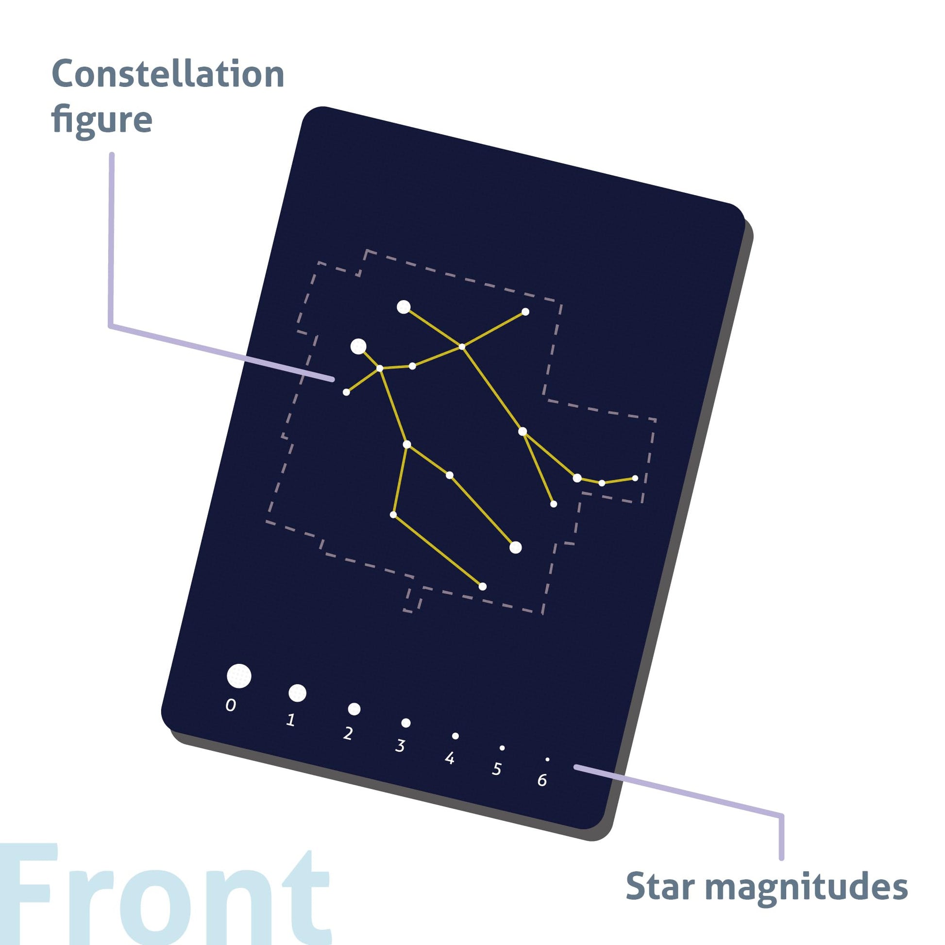 CARDDIA | The 88 Astronomical Constellations Educational Flashcards | Ideal for Astronomy Students and Educators