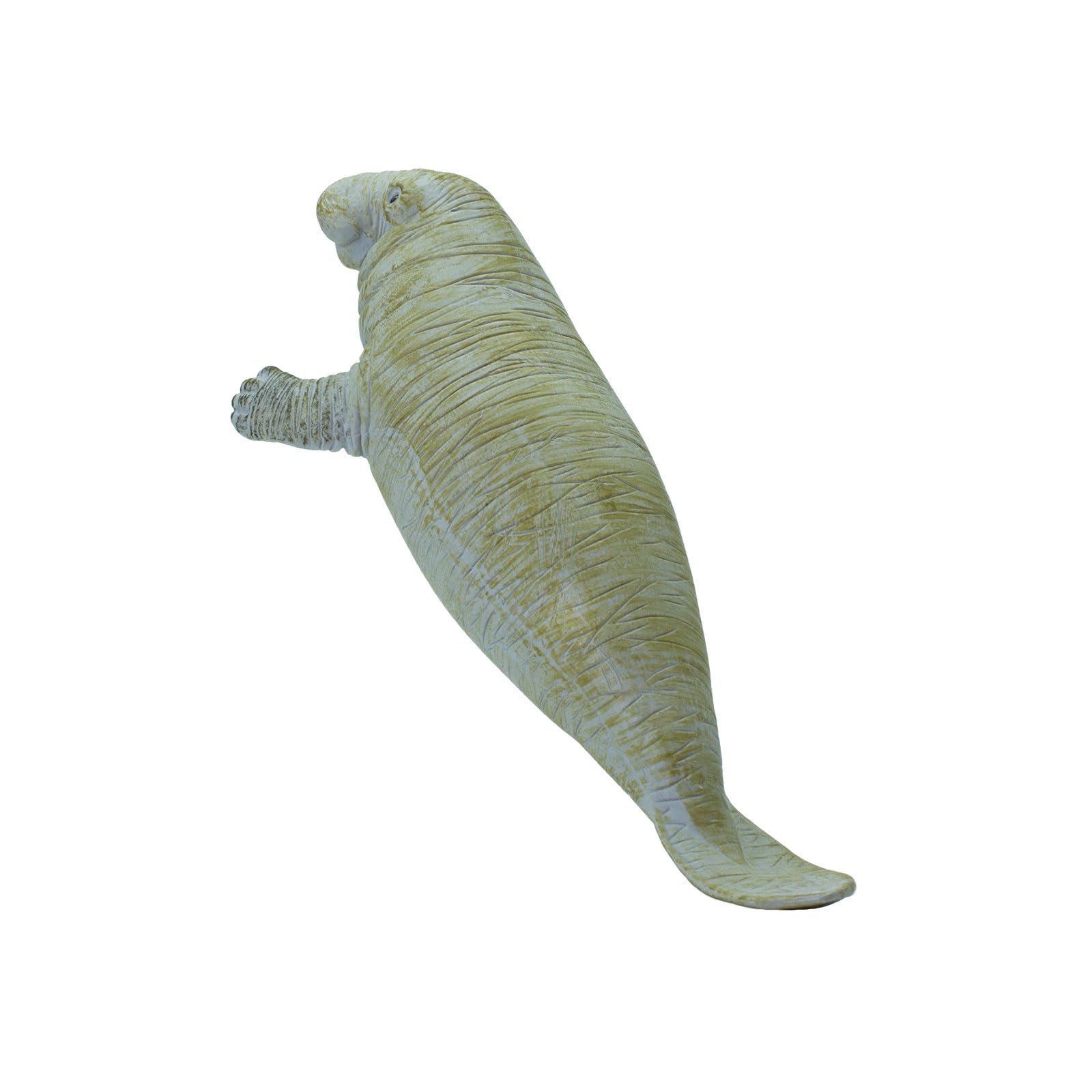 Safari Ltd. Manatee Figurine - Detailed 6" Plastic Model Figure - Fun Educational Play Toy for Boys, Girls & Kids Ages 3+
