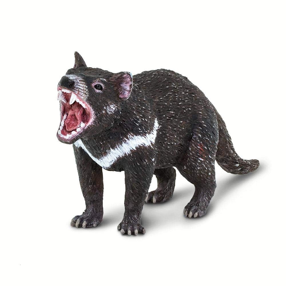 Safari Ltd. Tasmanian Devil Figurine - Realistic 3.5" Marsupial Figure - Educational Toy for Boys, Girls, and Kids Ages 3+