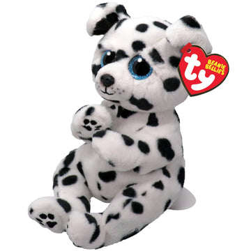 Ty Beanie Bellie Rowdy - Dalmation Dog - 6"", White/Black