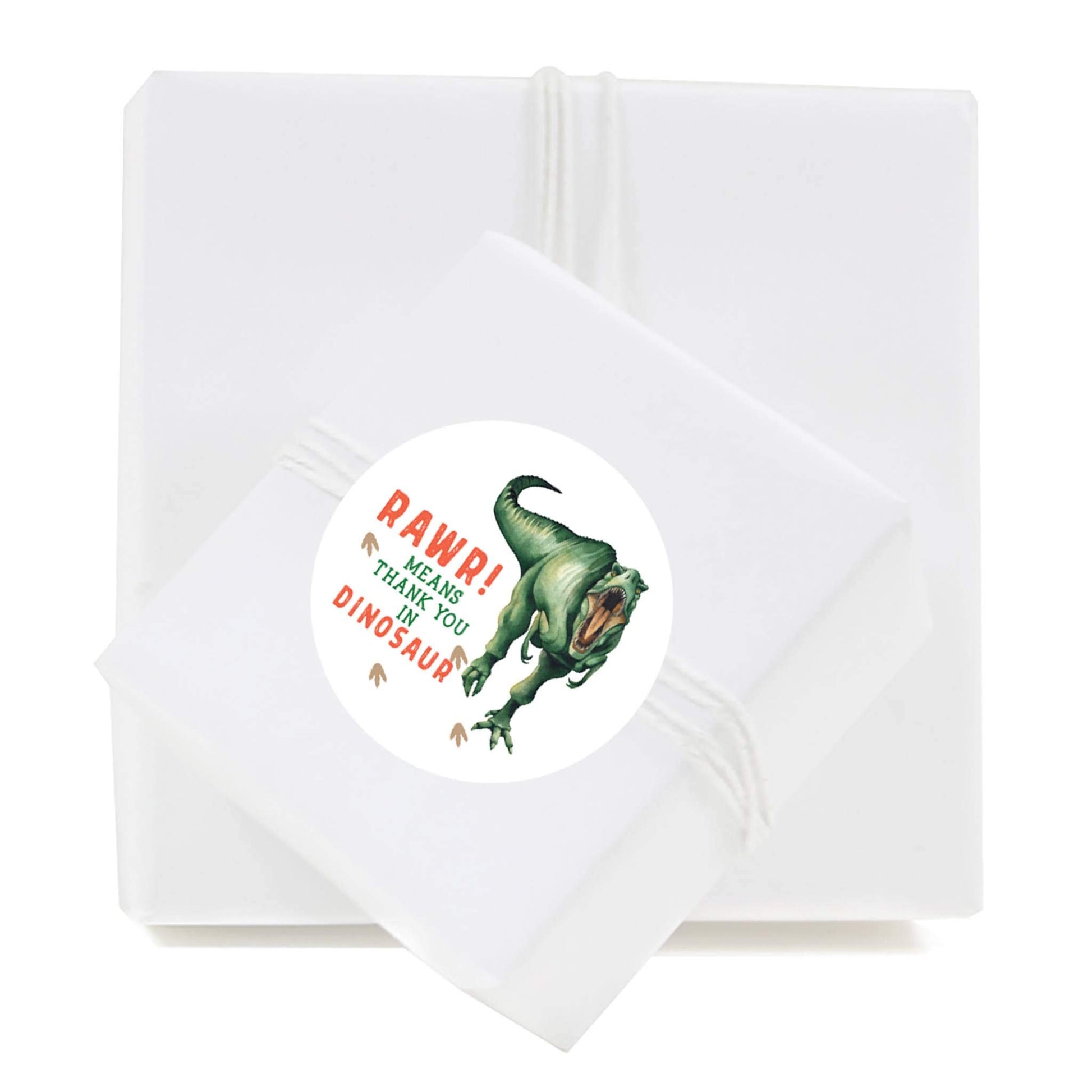 Andaz Press Birthday Collection, Round Circle Label Stickers, Rawr! Means Thank You in Dinosaur, Dino Childrens Party, Kids Dino Jungle Theme Party