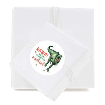 Andaz Press Birthday Collection, Round Circle Label Stickers, Rawr! Means Thank You in Dinosaur, Dino Childrens Party, Kids Dino Jungle Theme Party