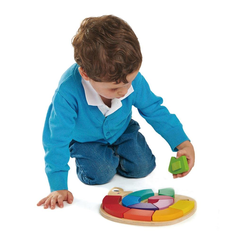 Tender Leaf Toys - Colour Me Happy - 13 Pieces Educational Colour Sorting Wooden Puzzle Toy with 3 Dimensional Shapes Underneath - Early Learning