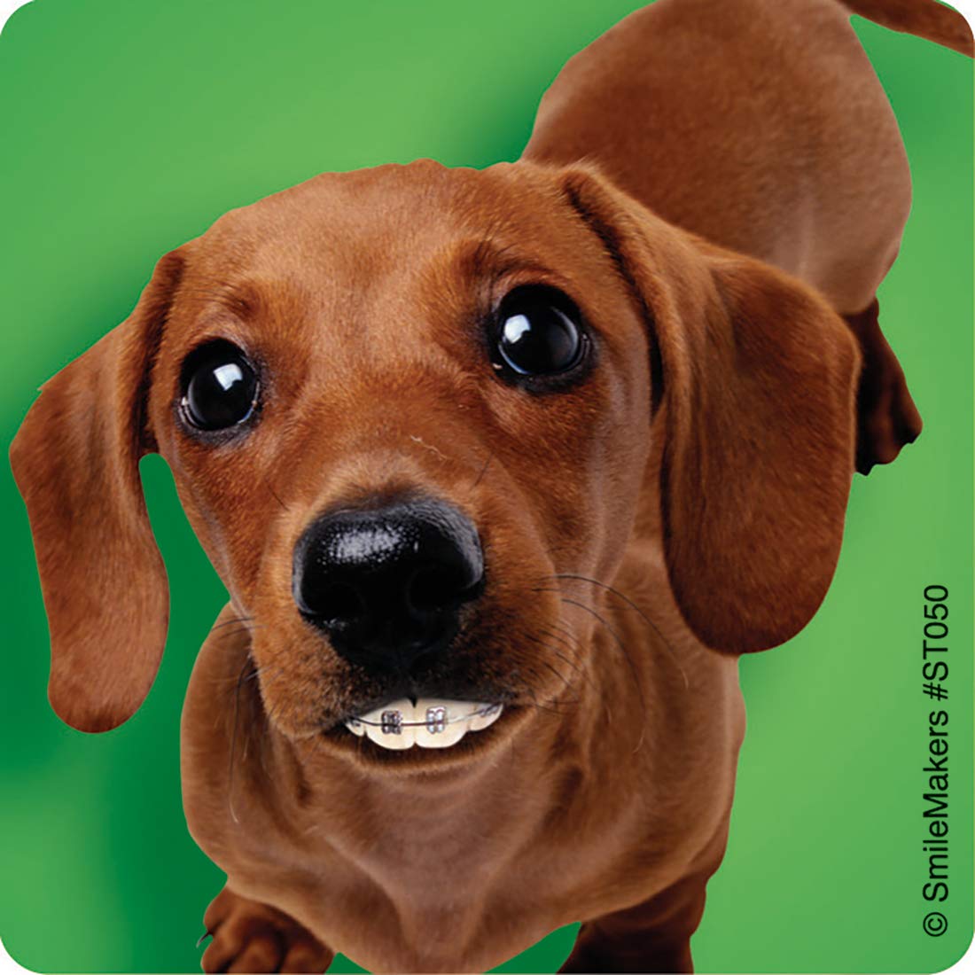 SmileMakers Dogs with Braces Dental Stickers - Prizes and Giveaways - 100 per Pack