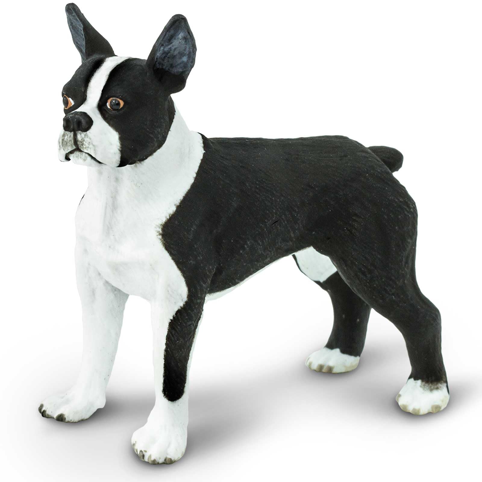 Safari Ltd. Boston Terrier Figurine - Lifelike 2.5" Model Figure - Educational Toy for Boys, Girls, and Kids Ages 3+