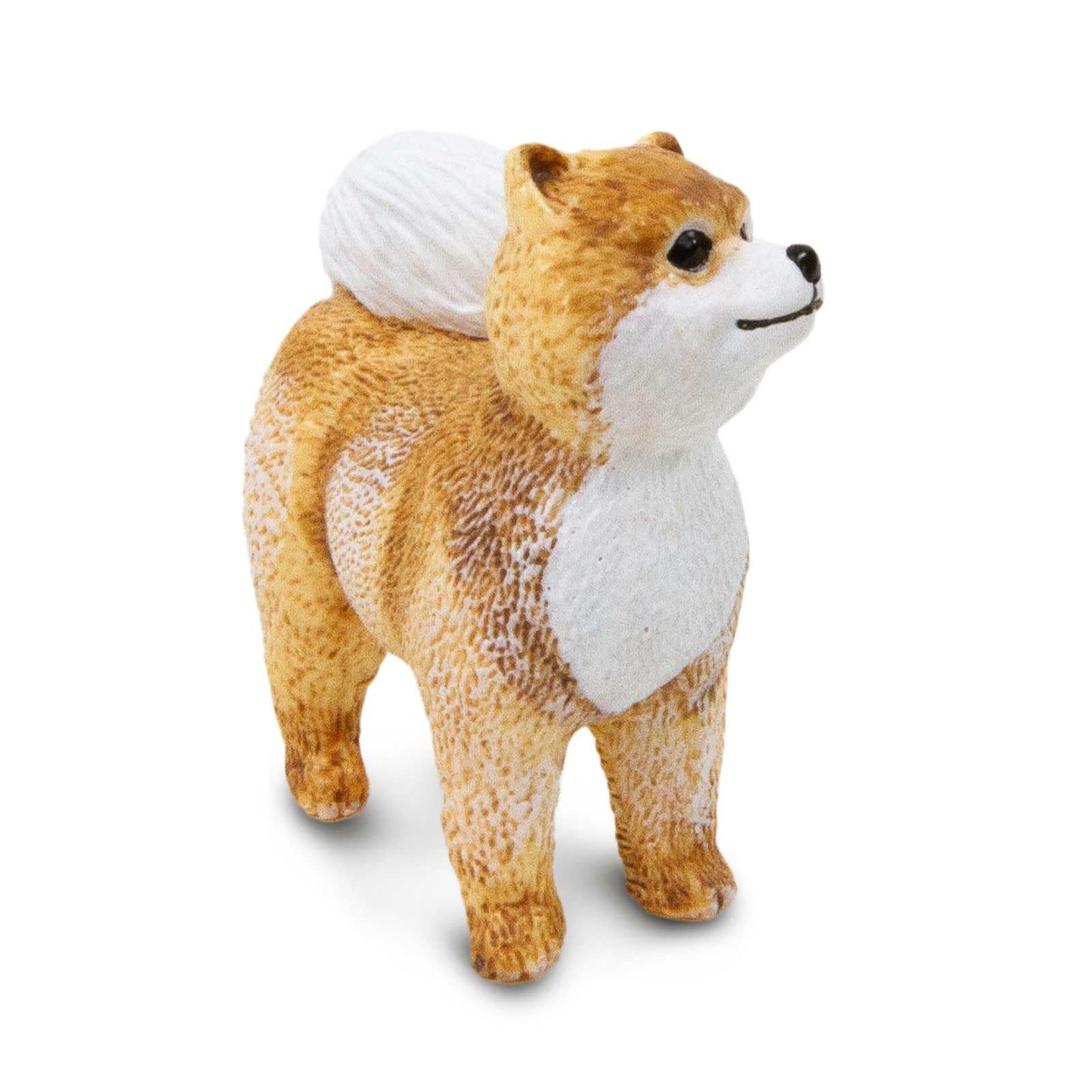 Safari Ltd. Pomeranian - Realistic 2" Dog Figure - Educational Toy for Boys, Girls, and Kids Ages 3+