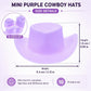 10-Piece Mini Cowboy Hat Party Decorations, Mini Western Doll Hats, Adorable Cupcake Decorations, Style for Dollhouse Cowboy Party Decorations?Purple?