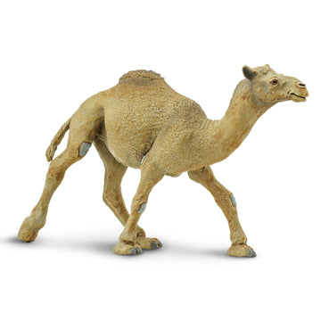 Safari Ltd. Dromedary Camel Figurine - Lifelike, Hand-Painted 5.75" Model Figure - Educational Toy for Boys, Girls & Kids Ages 3+
