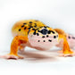 Safari Ltd. Leopard Gecko Figurine - Detailed 7" Plastic Reptile Figure - Educational Toy for Boys, Girls, and Kids Ages 3+