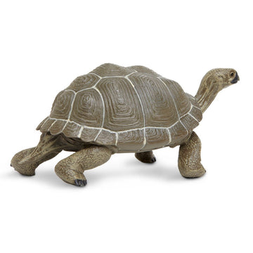 Safari Ltd. Tortoise Figurine - Detailed 8.5" Plastic Model Figure - Fun Educational Play Toy for Boys, Girls & Kids Ages 18 Months+